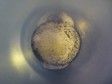 besciamella al microonde besciamella al microonde