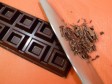 castagne al cioccolato castagne al cioccolato