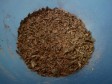 castagne al cioccolato castagne al cioccolato