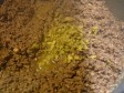crostini toscani rivisti di zia Tina
