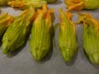 fior di zucca ripieni ricotta parmigiano