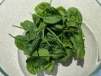 insalata con la meloncella insalata con la meloncella