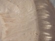 pain de campagne pain de campagne