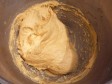 panettone - il mio!