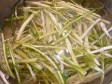 puntarelle alla romana