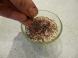 tiramis&ugrave; classico