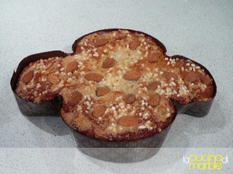 colomba gluten free colomba gluten free