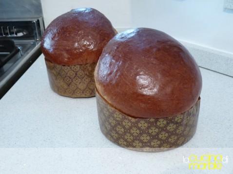panettone gastronomico di Cinzia panettone gastronomico di Cinzia