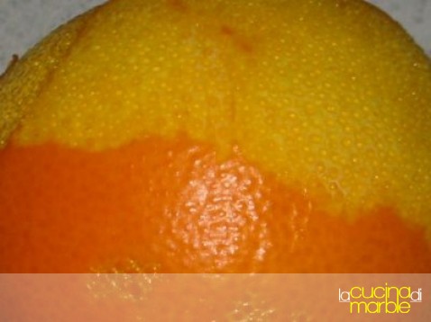 zester - grattugia per agrumi zester - grattugia per agrumi